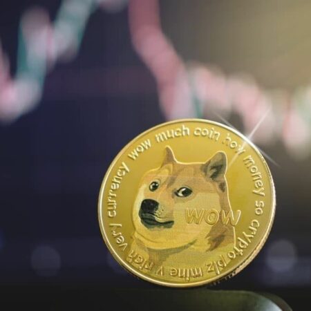 $1 billion leaves Dogecoin market cap in a day; What’s next for DOGE?