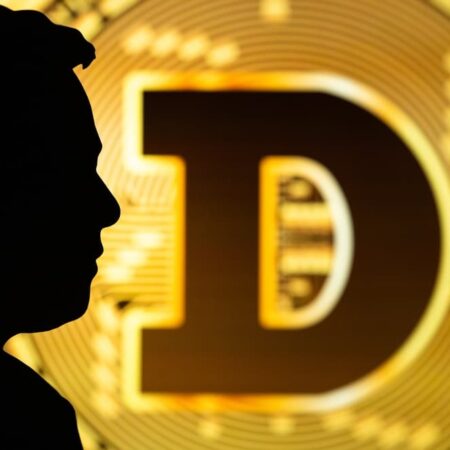 Can Dogecoin hold post-Elon Musk Twitter CEO era? DOGE price analysis