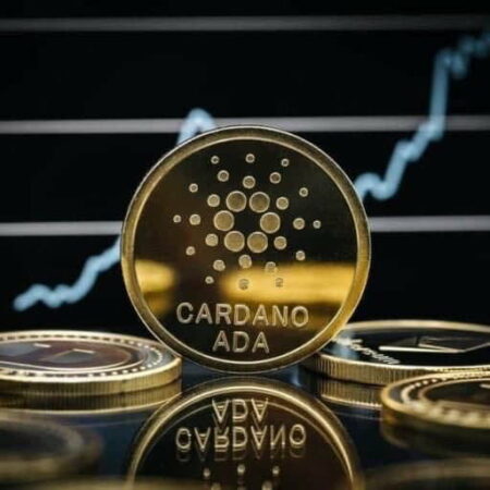 Cardano adds over 20,000 new staking addresses on average monthly for over a year