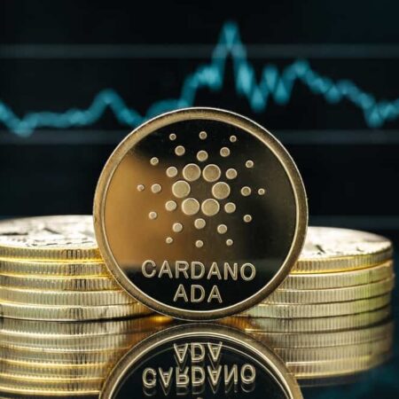 Cardano dazzled in 2022 despite challenging year, network metrics show