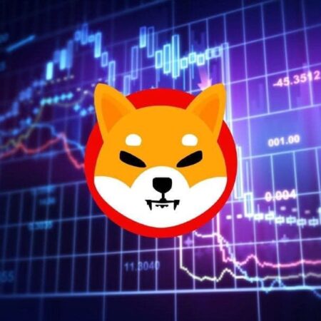 Machine learning algorithm sets SHIB price for December 31, 2022