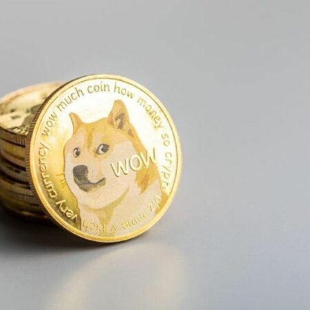 More than half of DOGE holders are in profit despite 2022 crypto carnage