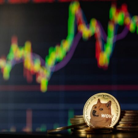 Why is Dogecoin (DOGE) crashing? Here’s what you should know