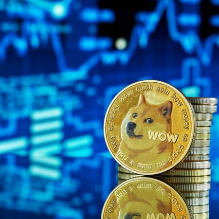 AI sets DOGE price for January 31, 2023