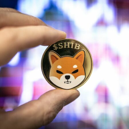 Machine learning algorithm sets SHIB price for January 31, 2023