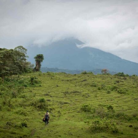 National Park in Congo is mining Bitcoin using hydro-electricity