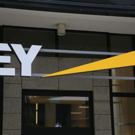 Ernst & Young adds Dogecoin to its new blockchain analyzer feature