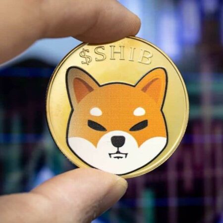 Shiba Inu nears bull pennant breakout