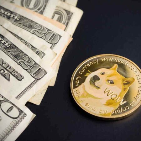 Could Dogecoin (DOGE) make you a millionaire?