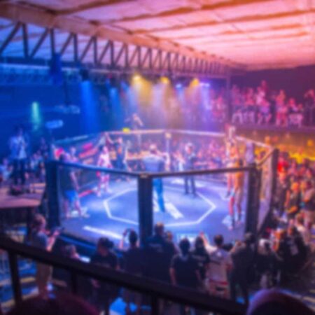 DeFiChain to sponsor Germany’s biggest MMA league