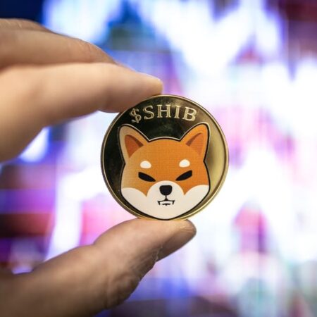 SHIB wins top spot as the most popular token held by Ethereum whales