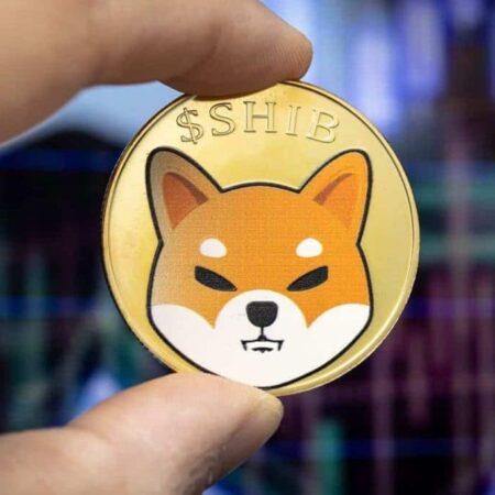 Crypto community with 86% historical accuracy sets SHIB price for May 31, 2023