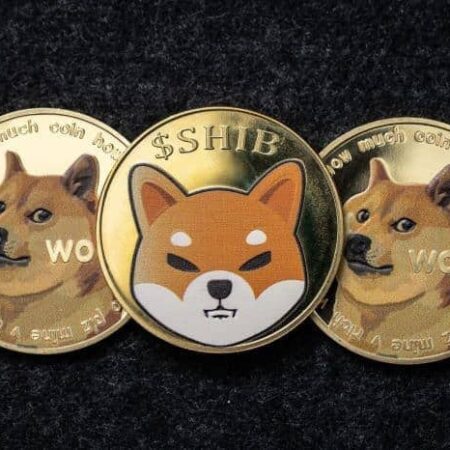 The next SHIB? 5 meme coins with potential for massive growth in 2023