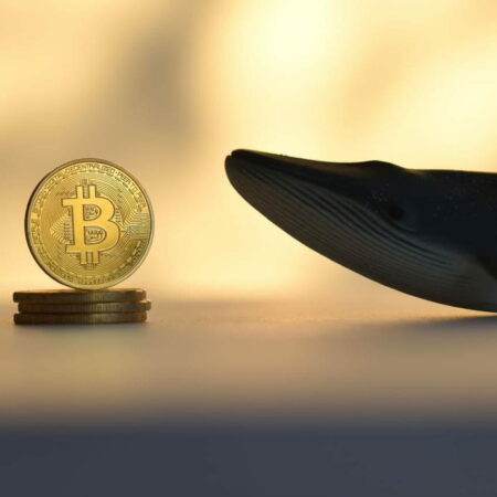 Bitcoin whales accumulated $3.5 billion worth of BTC amid market turndown