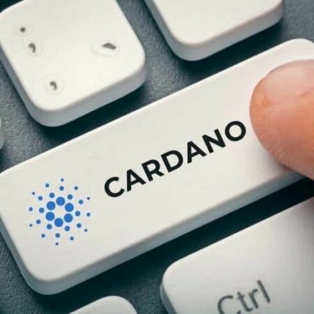 Cardano adds over 2,400 new wallets a day in June as adoption grows