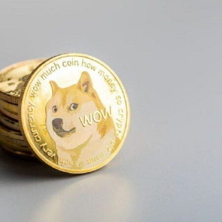 Daily DOGE transactions soar 8,820% in May; Here’s why