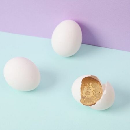 Eggs priced in Bitcoin down 82% in 5 years