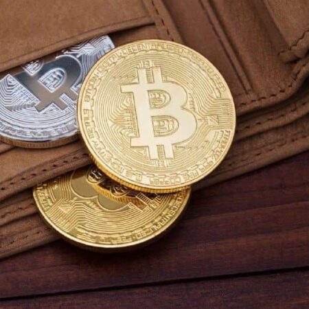 Bitcoin population surges with record numbers of holders of 1 BTC