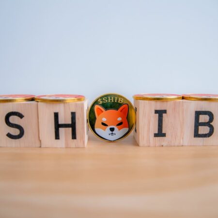 Google Bard predicts SHIB price in the next crypto bull market