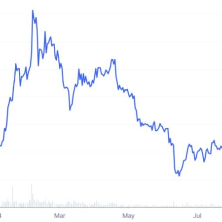 How much did SHIB lose in a year? The answer may surprise you