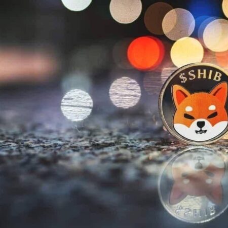 SHIB price prediction as burn rate explodes 420%