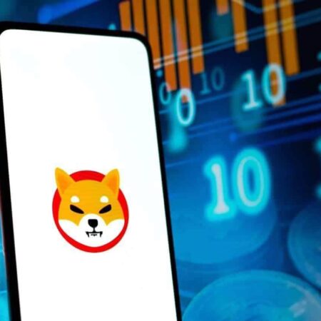 SHIB whales move $50 million as FOMO takes over