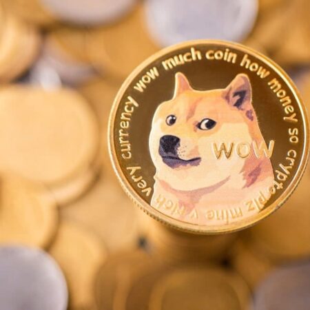 Here’s how many Dogecoin investors are in profit right now