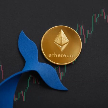 Ethereum whales on buying spree as 200 largest wallets hold $125 billion