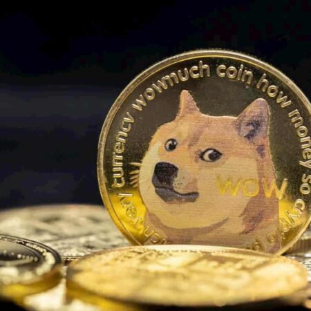 How many people own 1 Dogecoin?