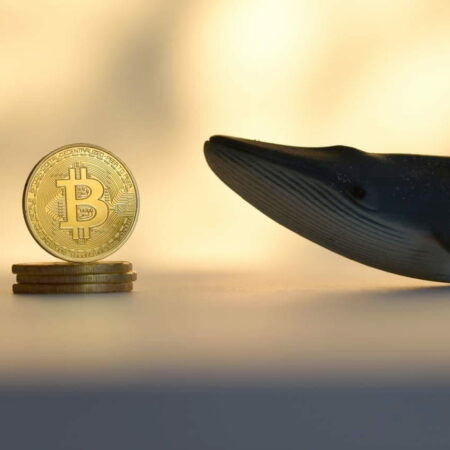 Bitcoin on-chain data hints ‘whales are taking profits’