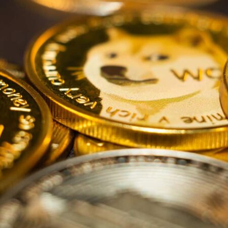 The best meme coins to buy for 2024